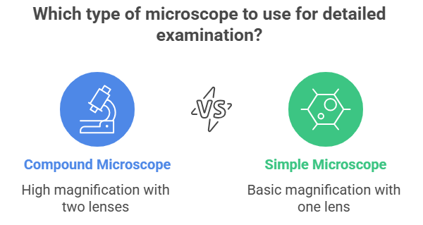 Compound Microscope Visual Selection